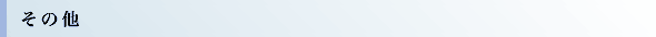 その他
